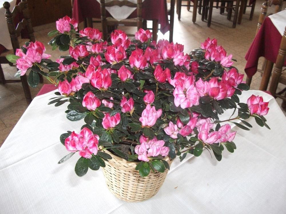 Hotel Breglia Lake Como 外观 照片